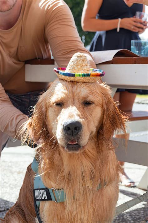 Nude Amigos Coolangatta Beachfront Mexican Dining Redefined