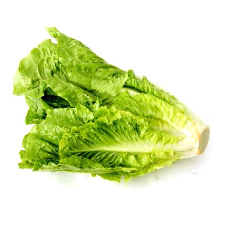 lettuce  master chip  veg