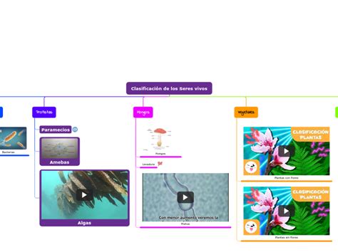 Clasificacion De Los Seres Vivos Mind Map Sexiz Pix