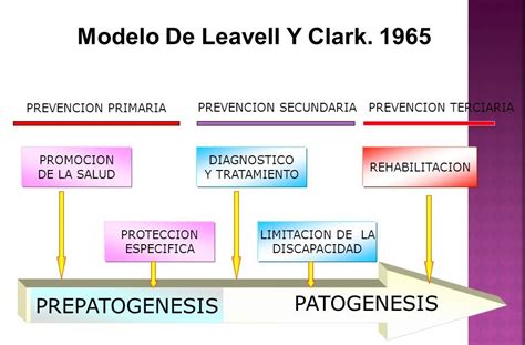 CLASE 4 NIVELES DE ATENCIÓN A LA SALUD ESQUEMA DE LEAVELL Y CLARK