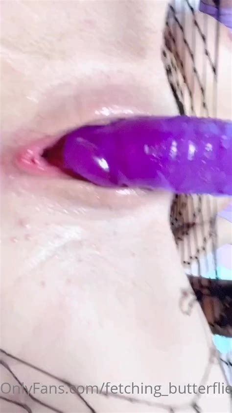 Fetching Butterflies Up Close Dildo Play Thothub