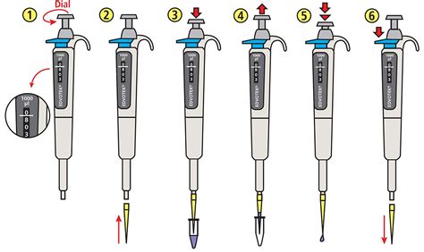 Quick Guide Micropipetting Basics