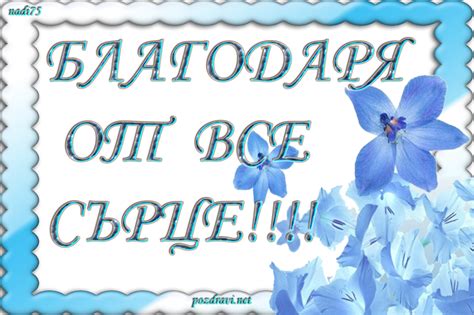 Благодарности