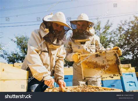 Two Beekeepers Works Honeycomb Full Bees Stock Photo 2190737433