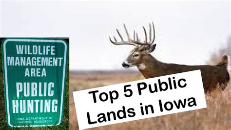 Top Iowa Public Land Deer Hunting Youtube