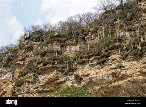 Ca N Del Sumidero Y El R O Grijalva Estado De Chiapas M Xico