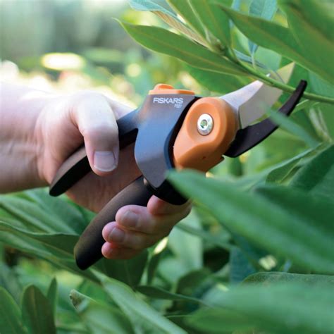 powergear pruner austraflora