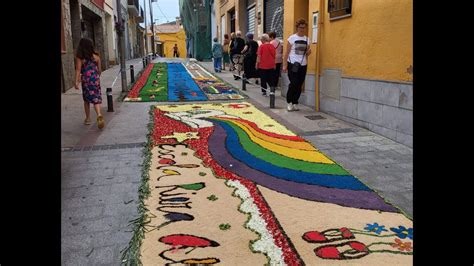 A Edici De Les Catifes Florals De Santa Coloma Youtube