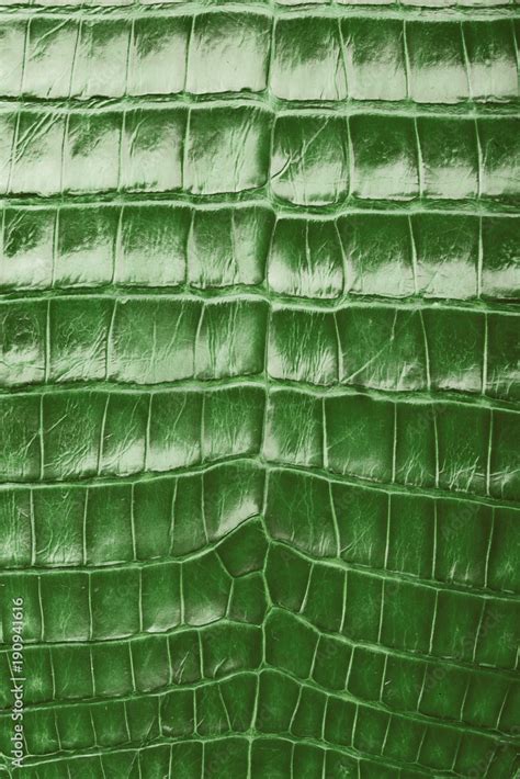 Green Crocodile Skin Background