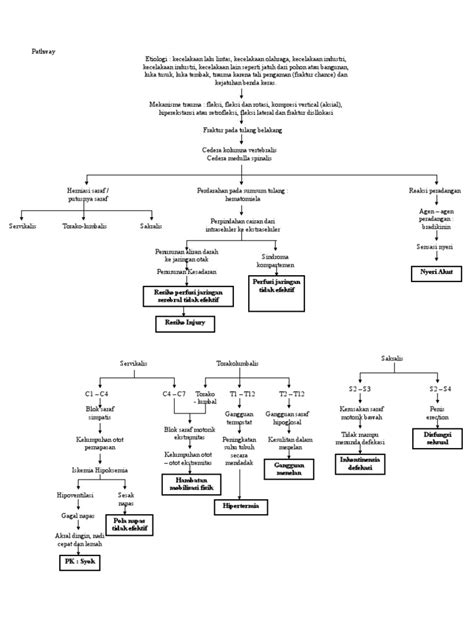 patofisiologi  pathway