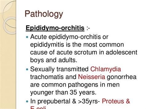 acute epididymo-orchitis,WHAT TO KNOW?