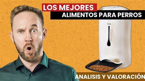 Los Mejores Alimentos Para Perros Del 2021 Youtube