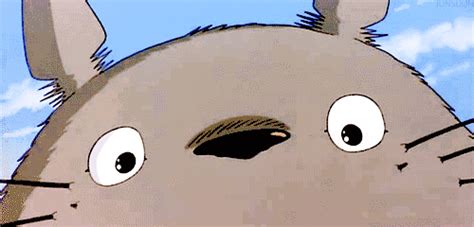 totoro gif on Tumblr