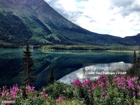 26 Tutshi Lake Stock Photos High Res Pictures And Images Getty Images