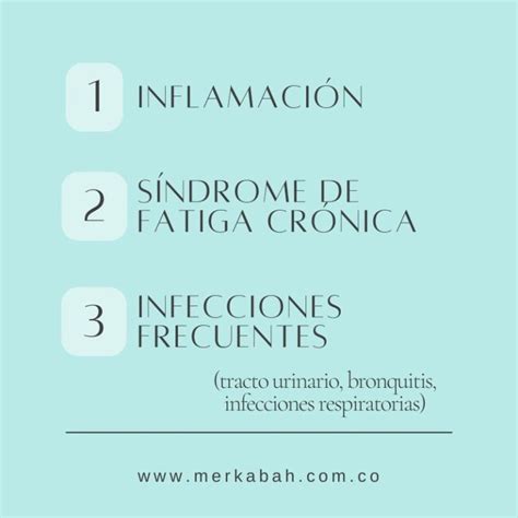 Hongo Reishi Ganoderma En Polvo Merkabah Tienda Online