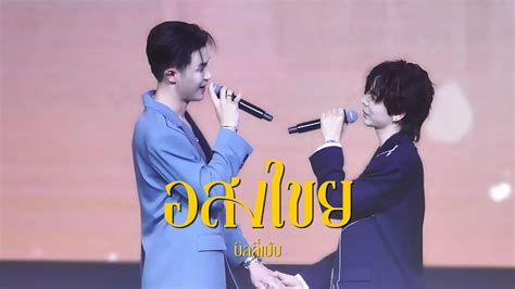 อสงไขย BILLY BABE 𝐻𝒪𝒩𝐸𝒴 𝐻𝒪𝒰𝑅 𝘽𝙄𝙇𝙇𝙔𝘽𝘼𝘽𝙀 𝙁𝘼𝙉𝙎𝙄𝙂𝙉 YouTube