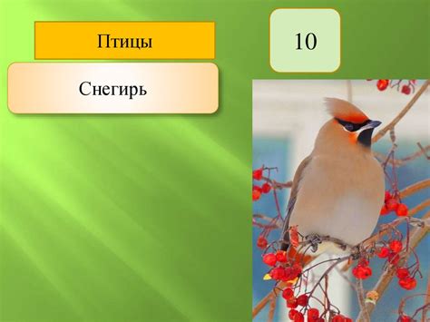 Природа чудесница - презентация онлайн