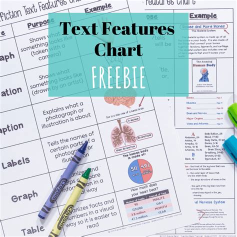 Free Text Features Slideshow - Teaching Made Practical