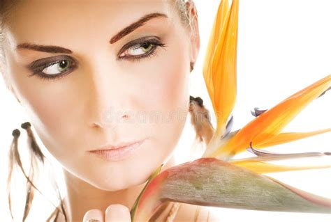 Hot Exotic Babe Stock Photos Free Royalty Free Stock Photos From Dreamstime