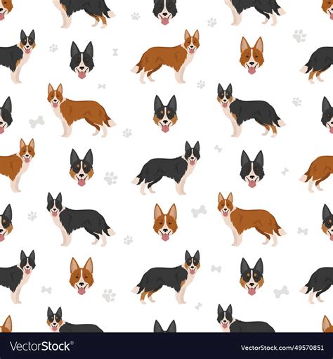 Welsh Sheepdog Seamless Pattern All Coat Colors Vector Image
