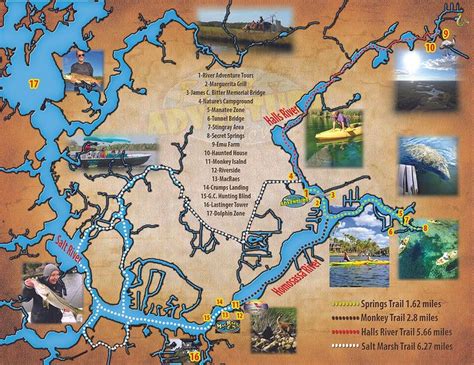 Homosassa River Map and Kayak Trails