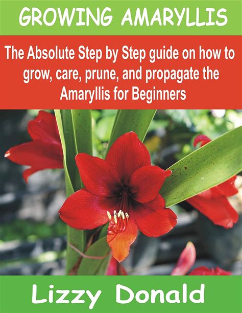 Growing Amaryllis The Absolute Step By Step Guide On How To Grow Care