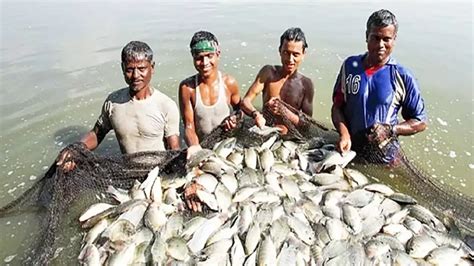 Fisheries मछली पालन ने यूपी के इस जिले की बदल दी किस्मत एक साल में 46