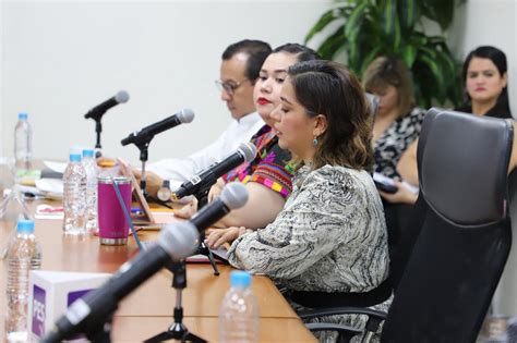 Partidos Deberán Postular A Diputados A Una Persona De La Diversidad