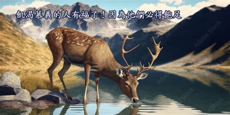 【登山八福之四】有福了！饥渴慕义者 我灵飞翔