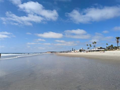 Del Mar City Beach San Diego What To Expect Timings Tips Trip
