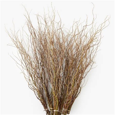 Bulk Pussy Willow Branches Toronto Bulk Flowers Wholesale