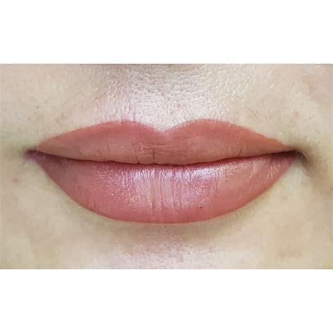Nude Pink IColor 10 Ml Viktoria Logoida