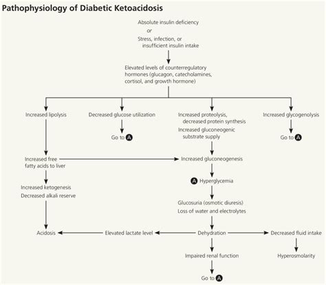 Diabetic Ketoacidosis Causes Signs Symptoms Diagnosis Treatment