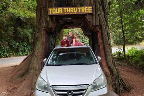 road trip hacks to save you money - Little Dove Blog