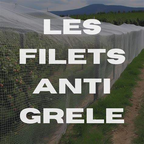 Les Systèmes De Protection Contre La Grêle SOS Grele