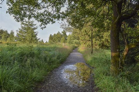 Radtour Durch Das Hohe Venn Eifel XYZ