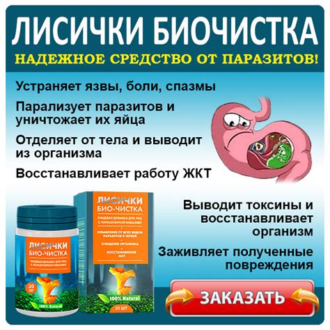 ЛИСИЧКИ БИОЧИСТКА от паразитов. ЦЕНА препарата, отзывы, где купить в ...