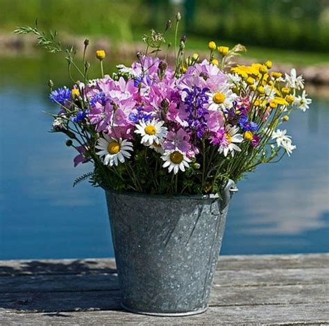 ПОЛЕВЫЕ ЦВЕТЫ И ЛЕТНИЕ БУКЕТЫ. Обсуждение на LiveInternet - Российский ...