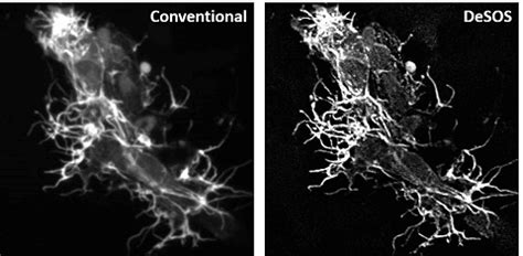 Super Resolution Imaging Made Easy Wiley Analytical Science