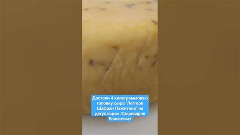Достали 4 килограммовую головку сыра "Леггеро Шафран Пажитник" на ...