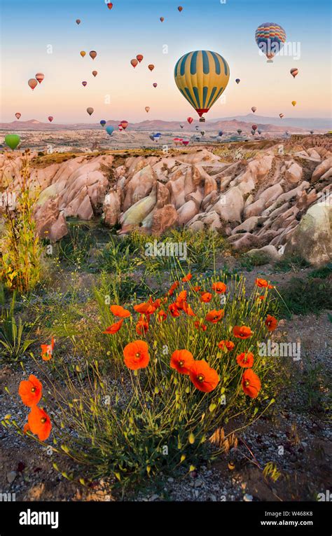 Hot Air Balloon Flying Over Rock Landscape With Poppies In Cappadocia
