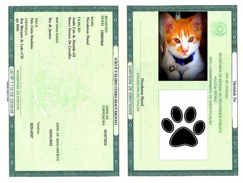 Identidade Para Pets Para Imprimir