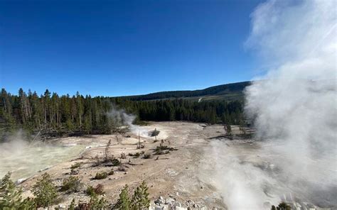 How to Visit Hayden Valley in Yellowstone (Things to See and Do) - We ...