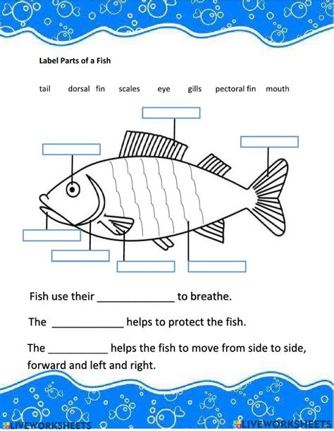 Parts Of The Fish Activity Fish Activities Worksheets Animal Worksheets