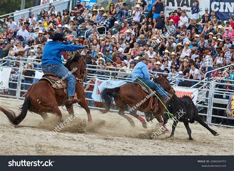 Rodeo Barrel Racing Royalty-Free Images, Stock Photos & Pictures ...