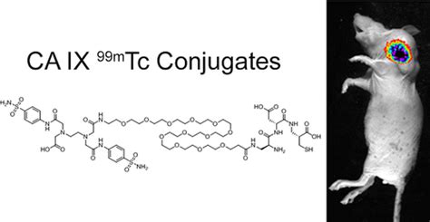 Bioconjugate Chemistry Vol 27 No 7 Acs Publications