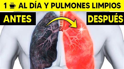 Limpiar Pulmones Del Tabaco C Mo Limpiar Los Pulmones De Un Fumador