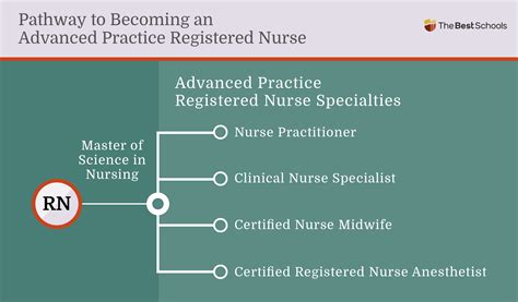 Levels Of Nursing at Catherine Fletcher blog