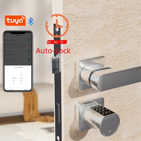RAYKUBE L11 Smart Fingerprint Door Lock - RAYKUBE