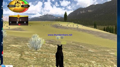 Wolf Quest Cattle Ranch Youtube